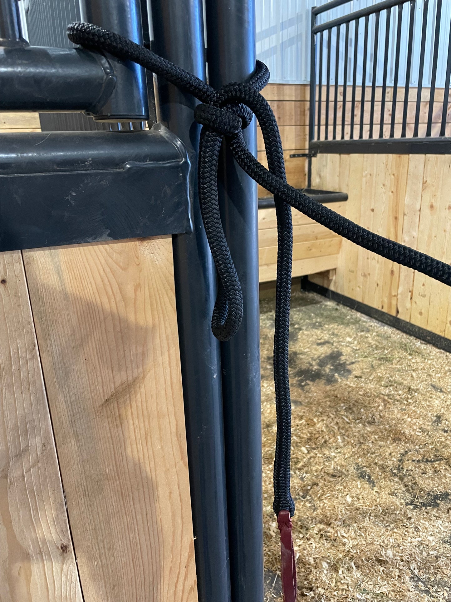 Rope halter and lead rope.