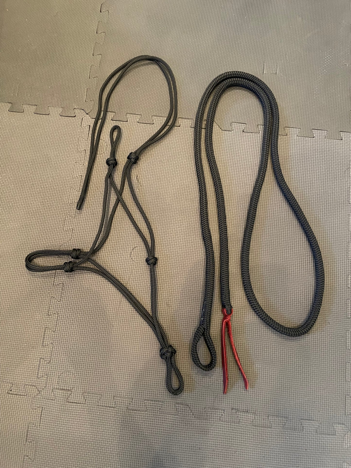 Rope halter and lead rope.