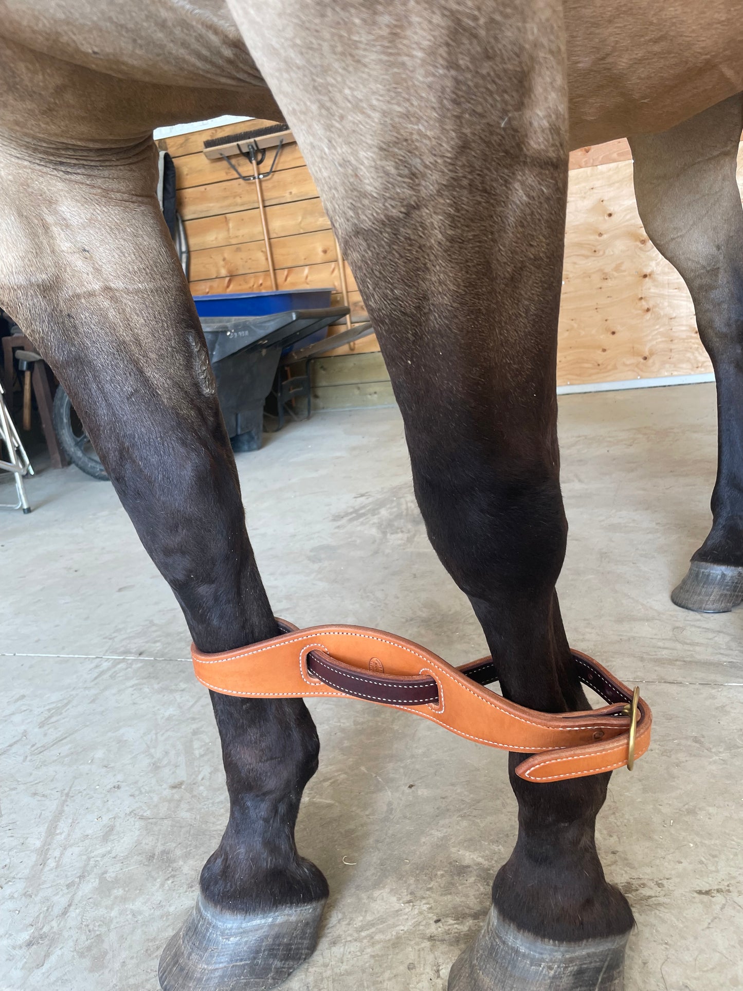 Figure 8 Leather Horse Hobble