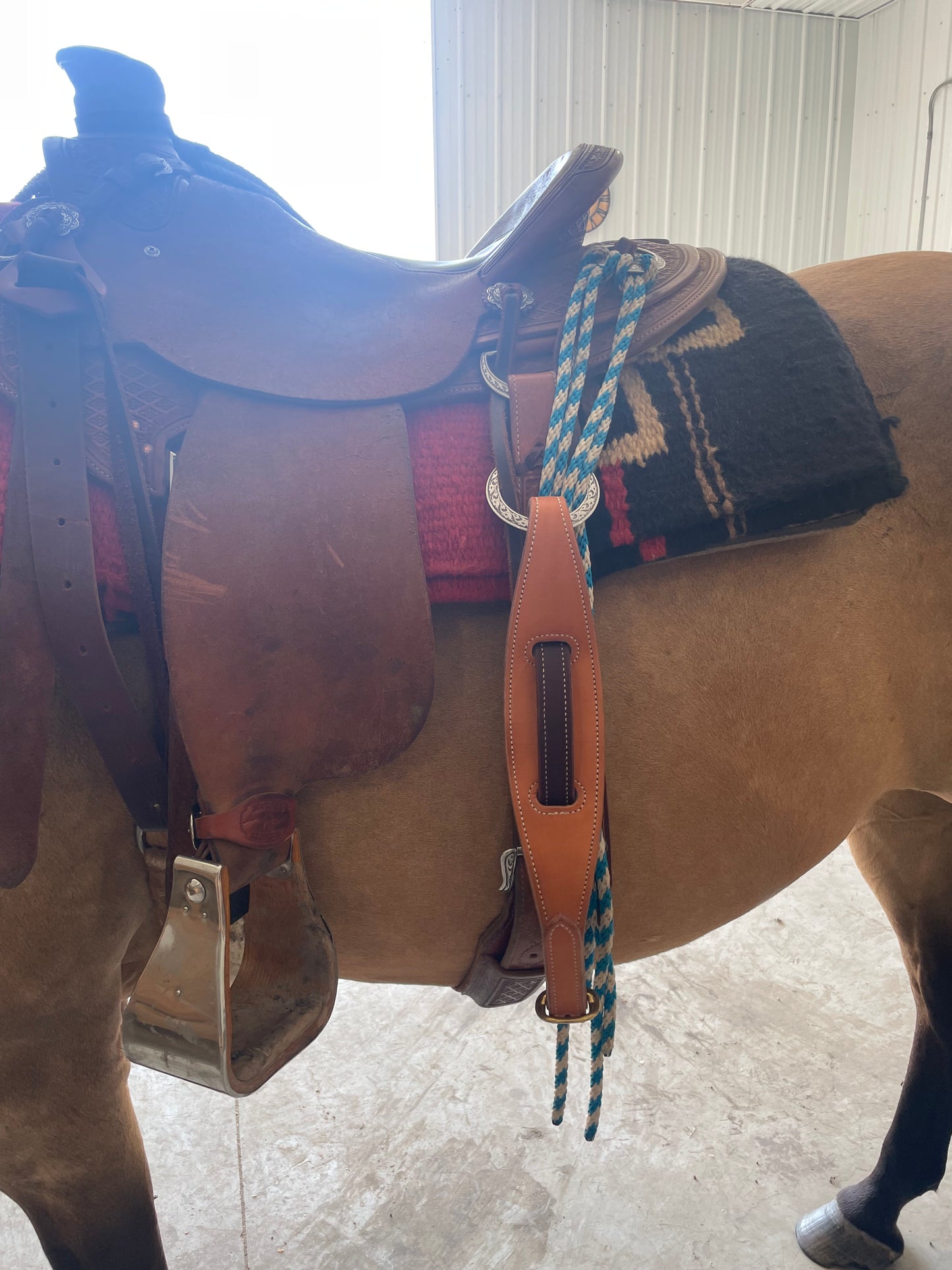 Figure 8 Leather Horse Hobble