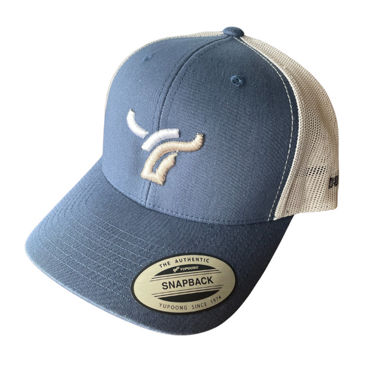 Blue cap large logo