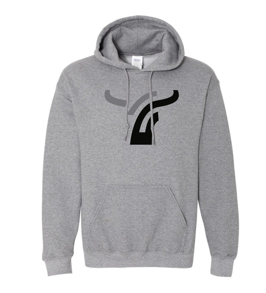 Graphite Hoody Large Logo