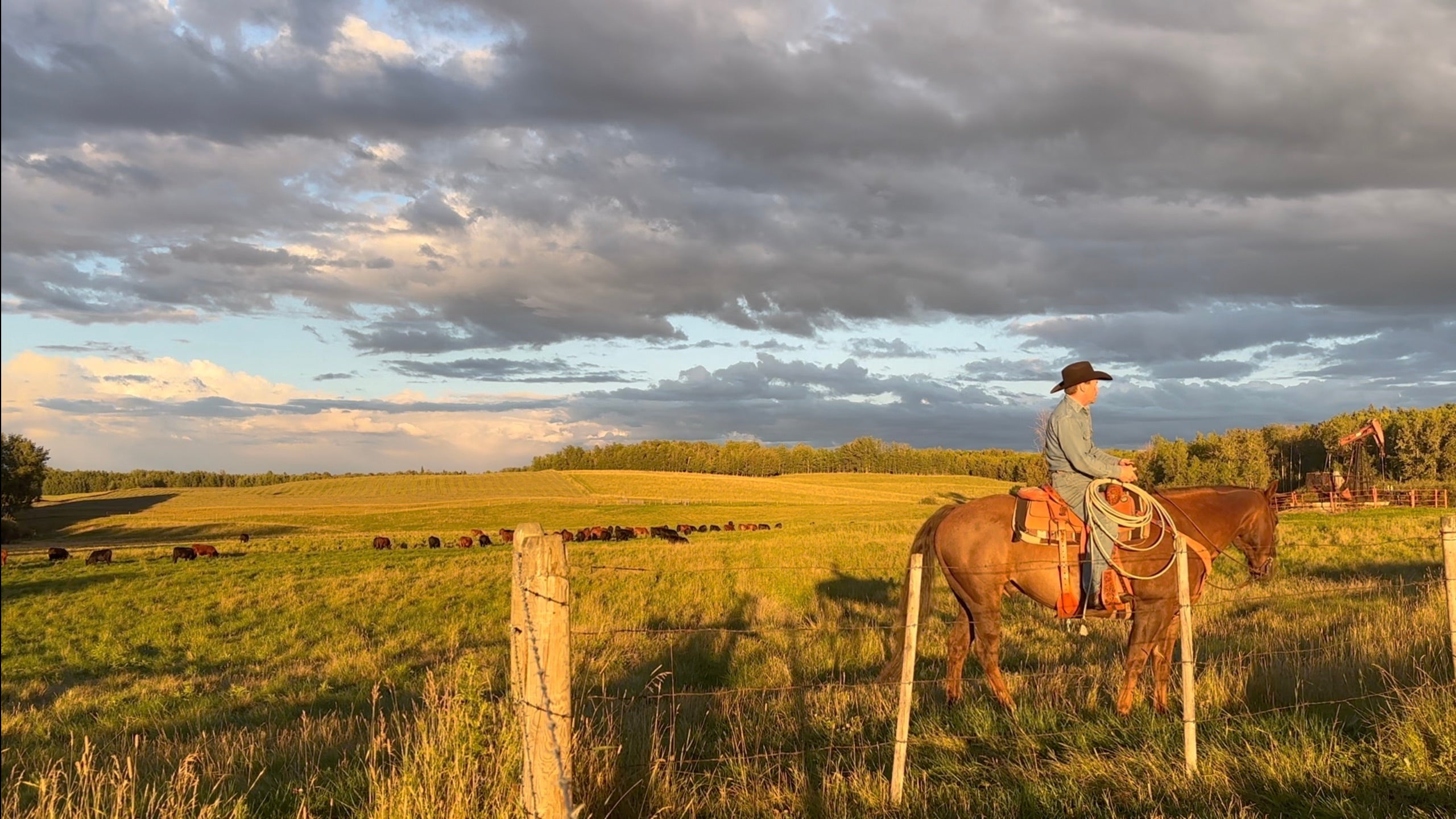 Load video: Summer at B8 Ranch